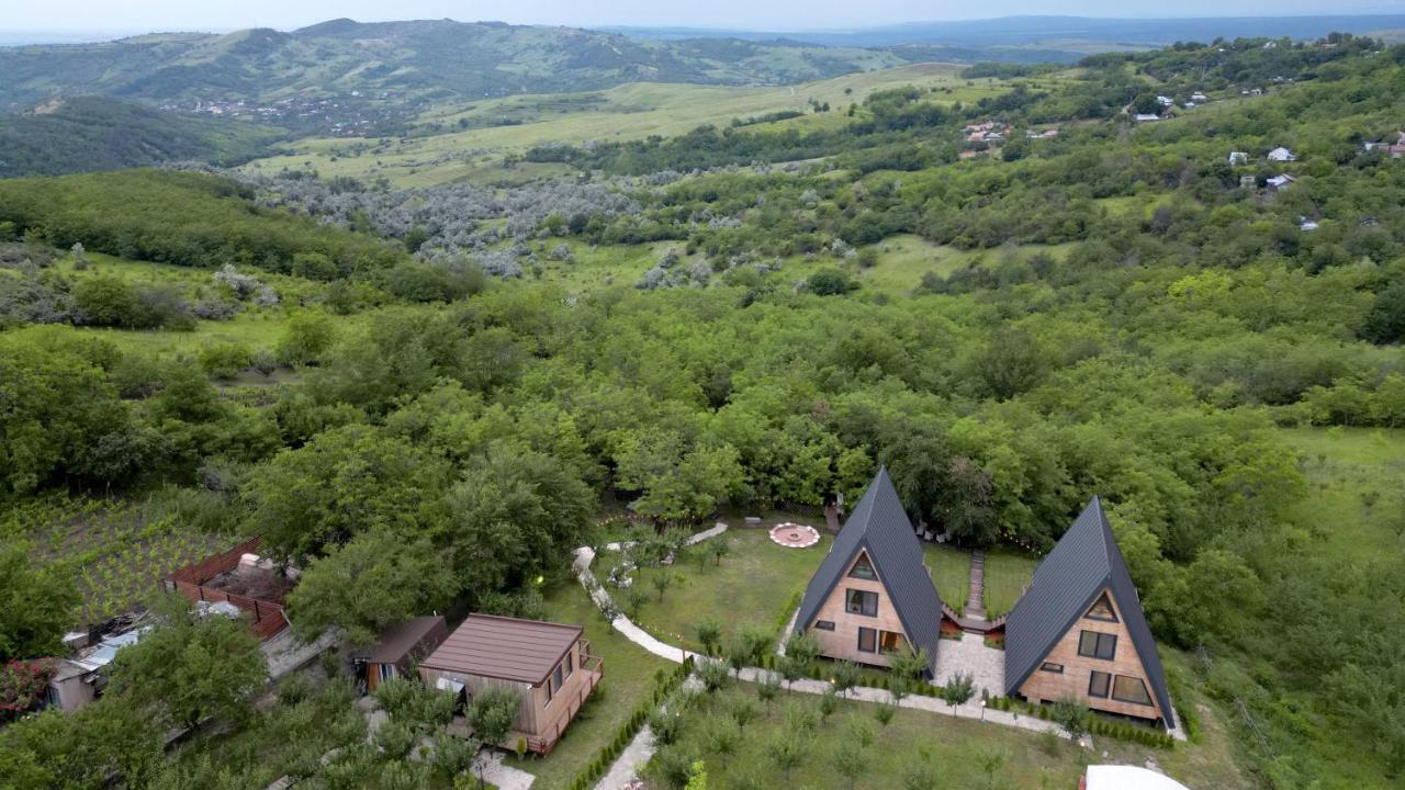 Arta Chalet Ceptura de Jos Exterior foto