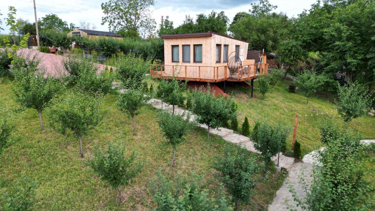 Arta Chalet Ceptura de Jos Exterior foto